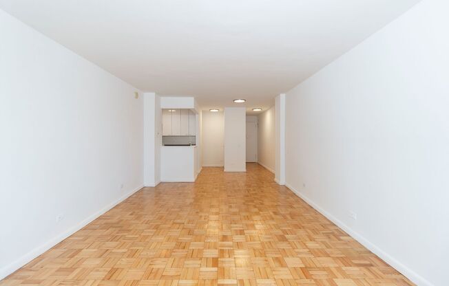 Studio, 1 bath, 502 sqft, $3,895, Unit 14P