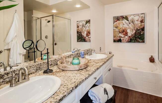 Modern bathroom with granite vanity, framed art and soaking tub
