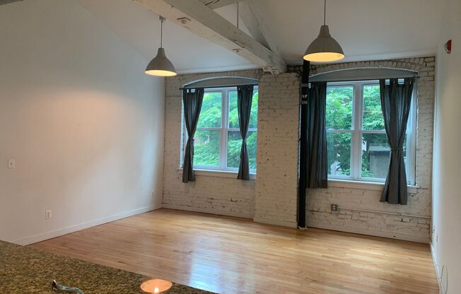 Brandywine Lofts