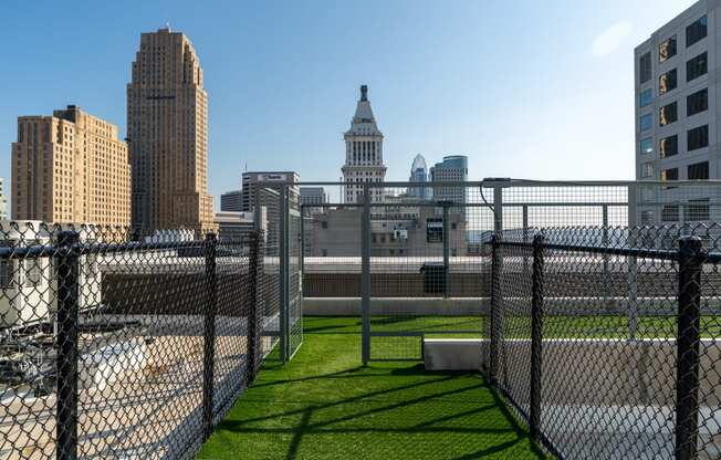 a view of the city from the top of a fenced in field