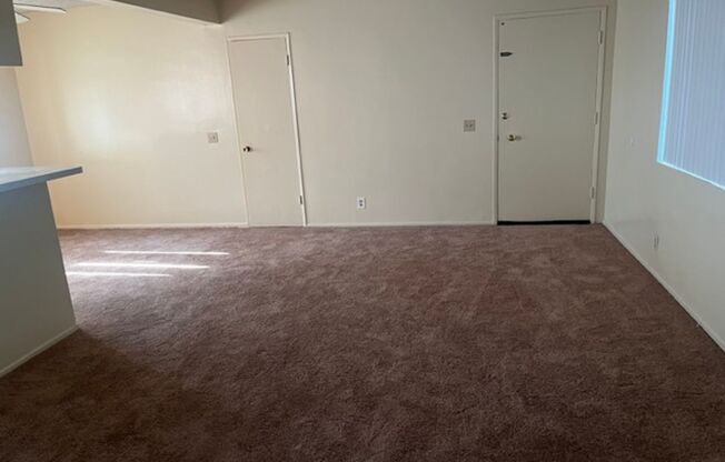 1 bed, 1 bath, $1,700