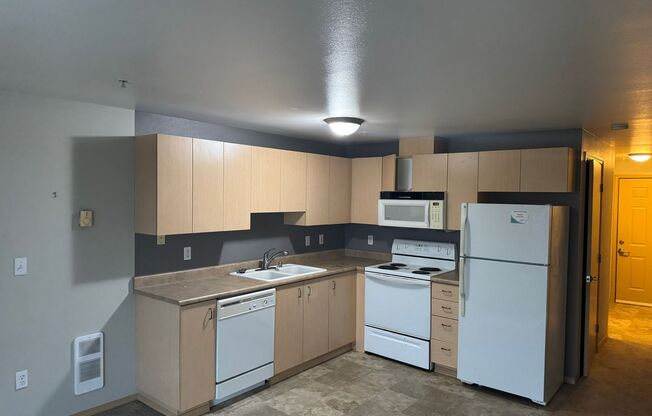 Studio, 1 bath, 440 sqft, $1,445, Unit 304