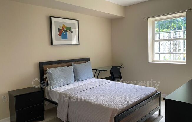141-143 Norfolk Street - 1 - 1 Standard North