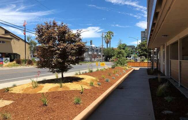 an empty sidewalk next to a building with a street and a tree