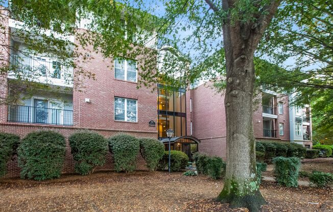 Live in the Heart of Historic Dilworth – Walkable, Stylish & Full of Charm! | ⭐️MOVE IN SPECIAL $500 OFF FIRST FULL MONTH