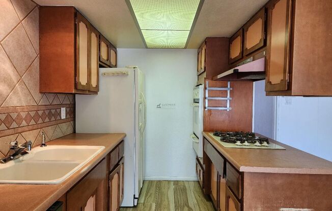 1114 Camino Consuelo