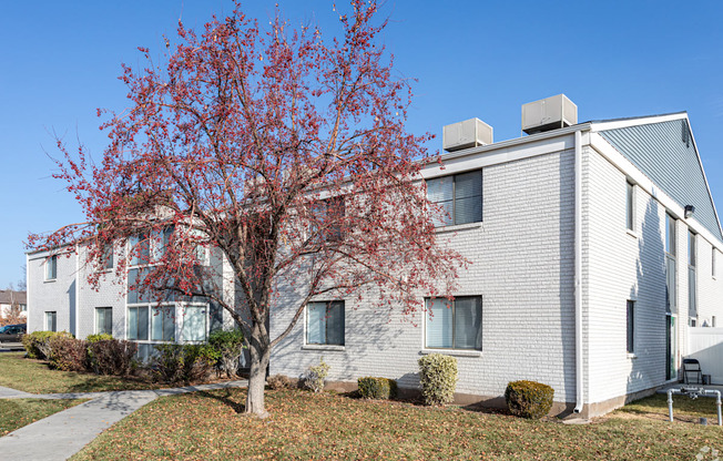 A tree with red leaves is in front of a grey house.