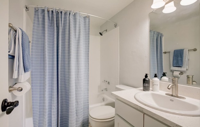 Renovated Bathroom at Captiva Club Apartments at 4401 Club Captiva Drive in Tampa, FL 33615