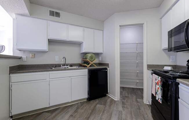 A kitchen in the model unit at Skyler Ridge Apartments, featuring white cabinets, a black dishwasher, and a sink.