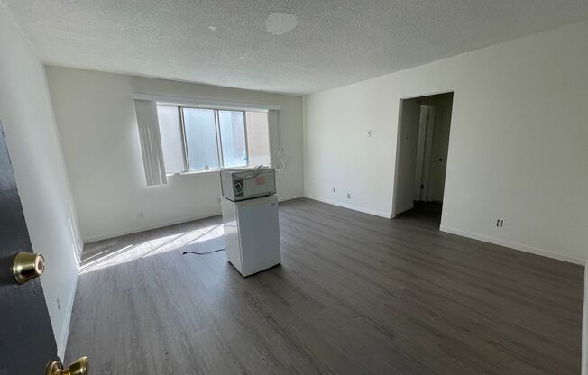 Studio, 1 bath, 250 sqft, $1,995