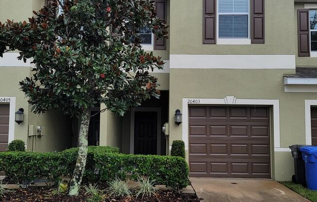 Home is in the Heart of New Tampa