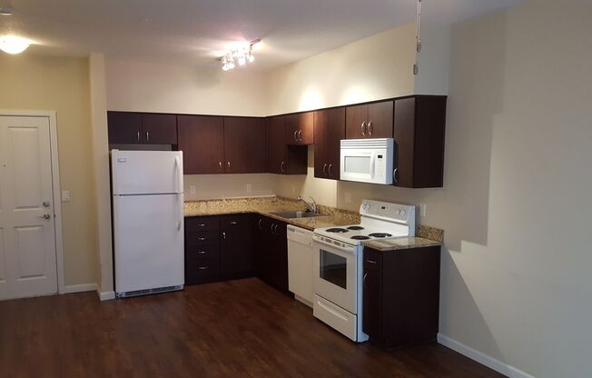 1 bed, 1 bath, 492 sqft, $1,355, Unit 1-212