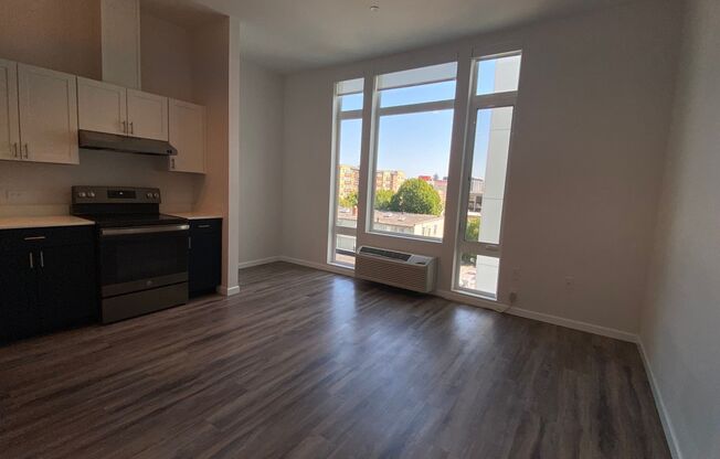Studio, 1 bath, 391 sqft, $1,300, Unit 309