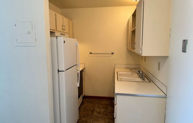 1 bed, 1 bath, 465 sqft, $600, Unit 1116-310