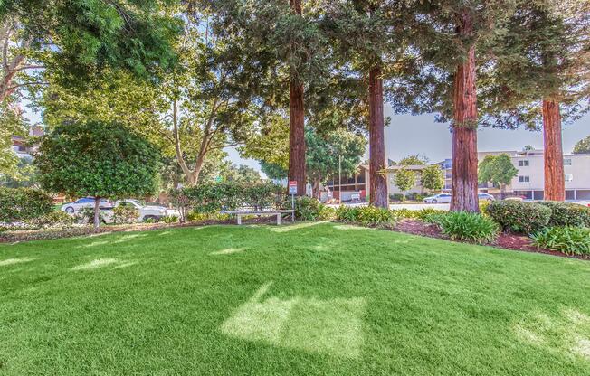 A well-maintained grassy area surrounded by tall trees and shrubs. In the background, there are parked cars and a building. A wooden bench is visible near the center of the lawn, creating a peaceful spot for relaxation. The scene showcases a bright and inviting outdoor space.