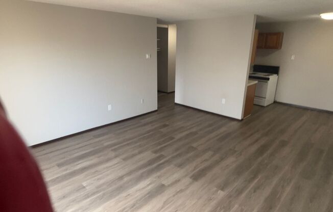 1 bed, 1 bath, $1,250, Unit 314