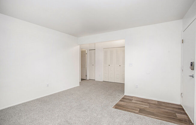 an empty living room with carpet and a closet