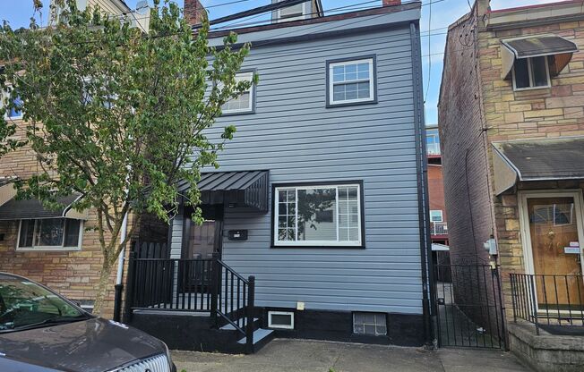 Fully Updated 3 bedroom 1 bath house for rent in the South Side Flats