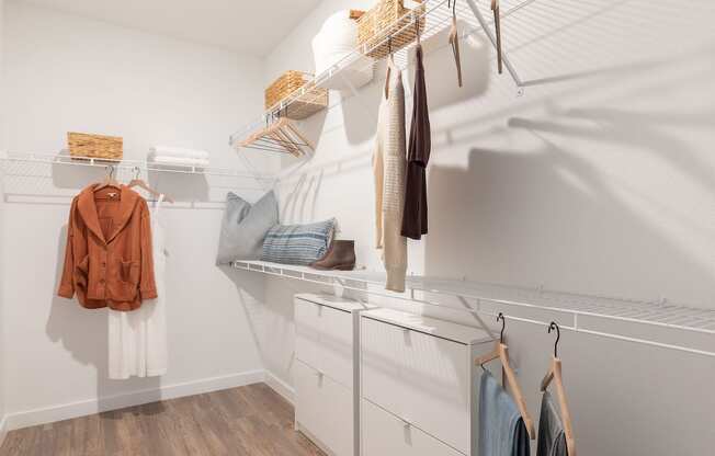 walk-in closet with built-in shelving in Concorde apartment