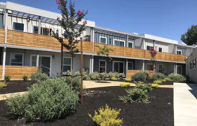 a courtyard with trees and shrubs in front of a building