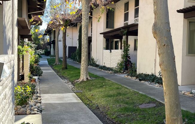 San Marco Apartments SMM