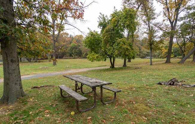 a picnic table and a bench in a park