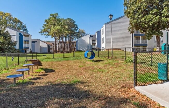 Dog park with agility equipment