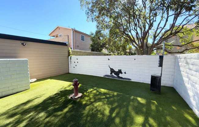 A dog is sitting on a green lawn in a backyard.