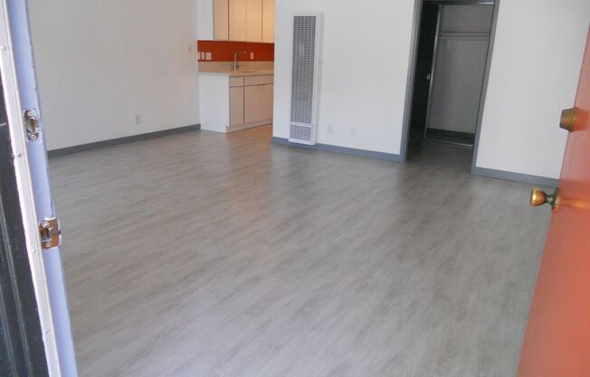 Studio, 1 bath, 515 sqft, $2,350, Unit 161-39