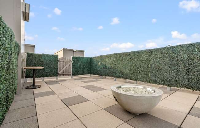 a terrace with a bowl of water on it and a privacy hedge