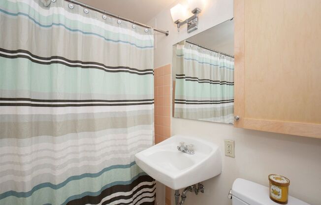Studio, 1 bath, 423 sqft, $1,450, Unit 405