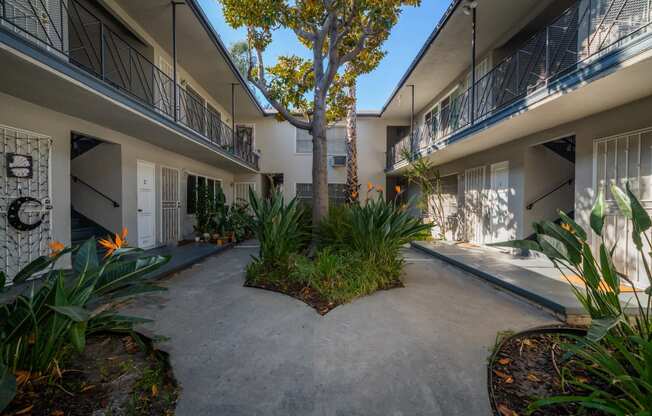 a view of the courtyard at Isles of Charm