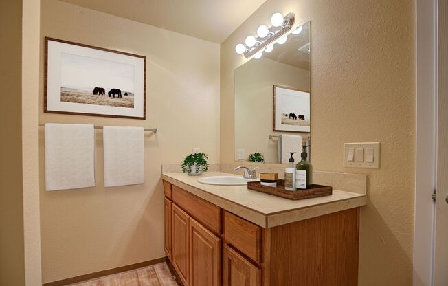 2 beds, 1 bath, 884 sqft, $1,325, Unit 201-180