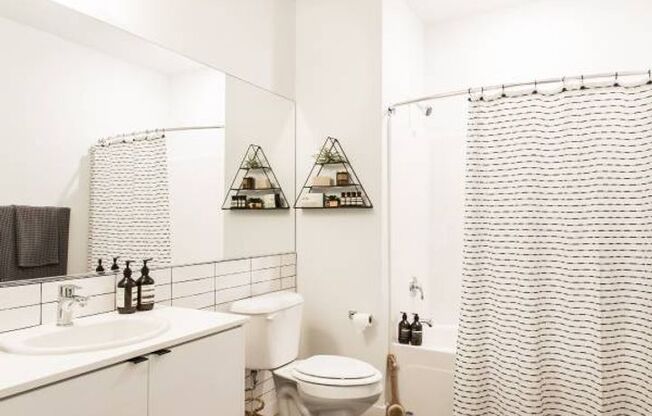 1 bed, 1 bath, 593 sqft, $1,650, Unit 109