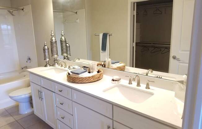 a bathroom with a sink and a toilet