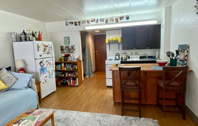 1 bed, 1 bath, 450 sqft, $1,165, Unit 304