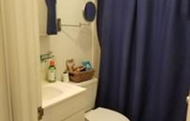 Studio, 1 bath, 500 sqft, $2,100, Unit 616