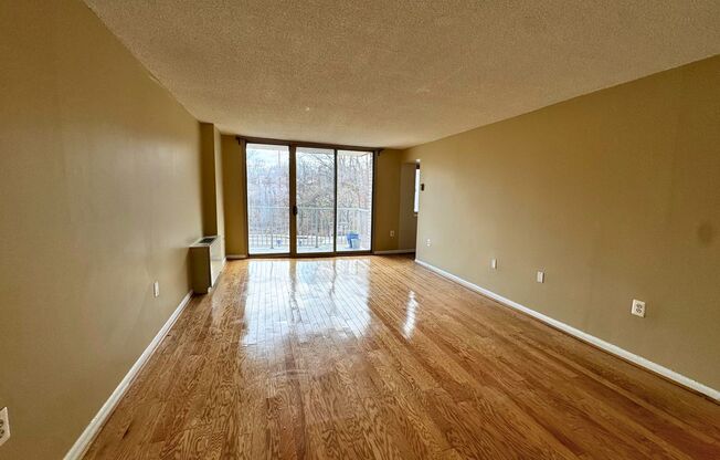 Modern Luxury Studio at Park Place | All Utilities Included