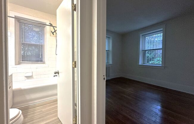 1 bed, 1 bath, 550 sqft, $1,115, Unit Apt 203