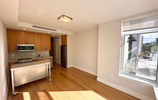 1 bed, 1 bath, $2,600, Unit 203