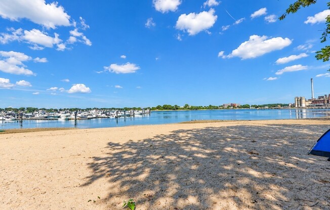 2 beds, 1 bath, 900 sqft, $2,300, Unit 2