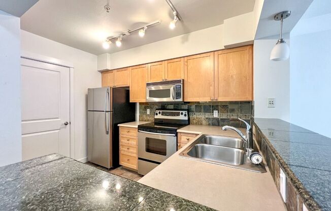 1Bd/1Ba Seattle Condo