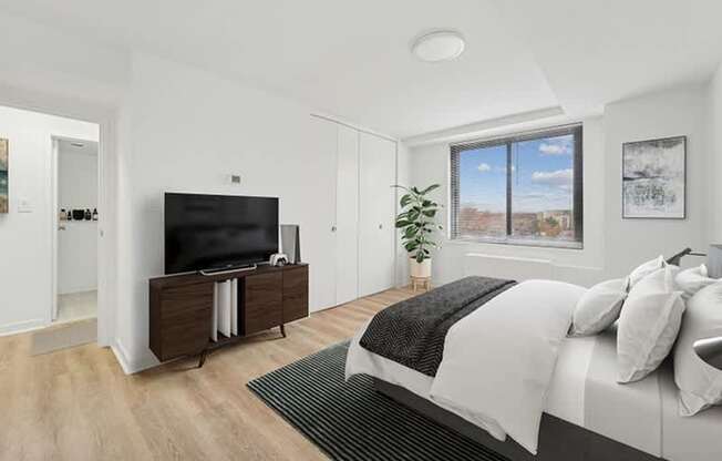 Alexandria Apartments for Rent