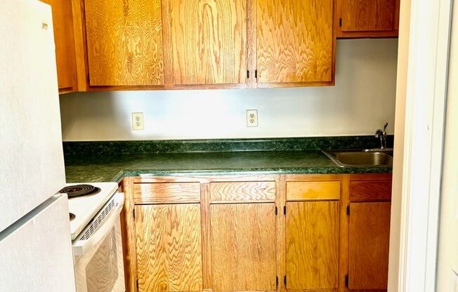 3 beds, 1 bath, 900 sqft, $850, Unit 526-204 Locher Alley