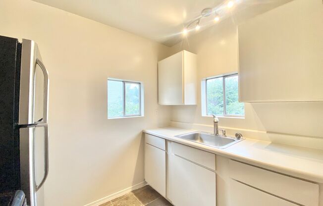 Studio, 1 bath, 350 sqft, $1,150, Unit 2910-03