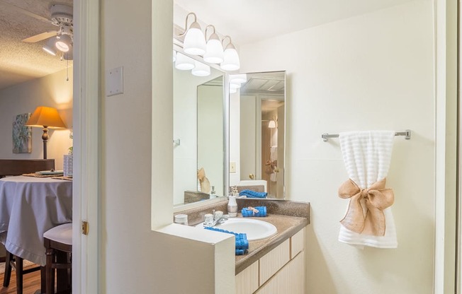 Foothills bathroom with sink, drawers and nice lighting