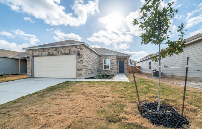 10534 LATELEAF OAK