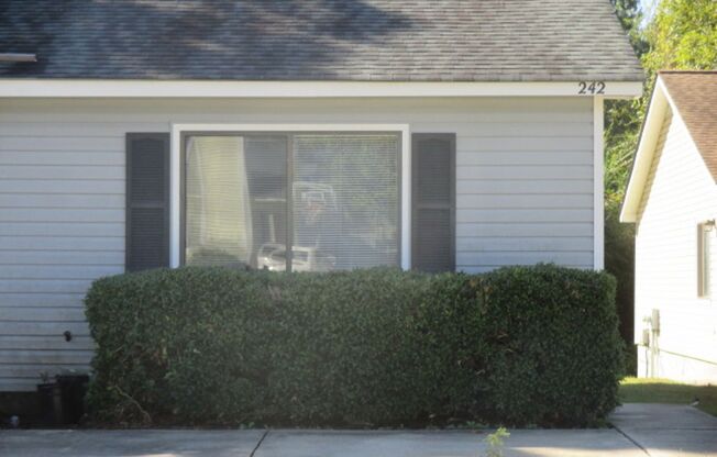 1 bed, 1 bath, 500 sqft, $895, Unit 242