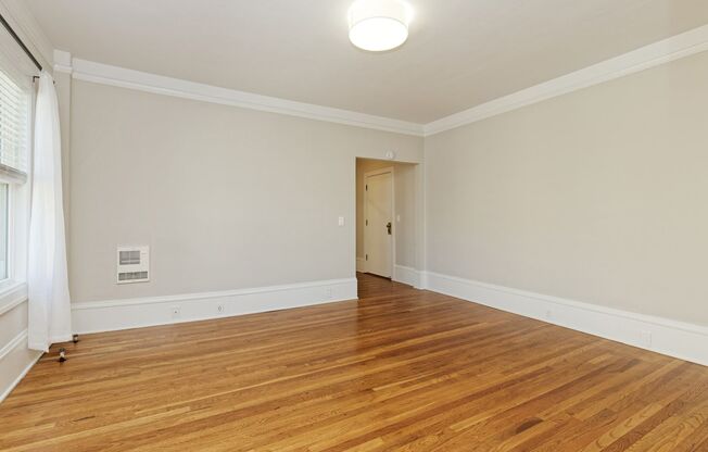 Studio, 1 bath, 500 sqft, $1,595, Unit 211