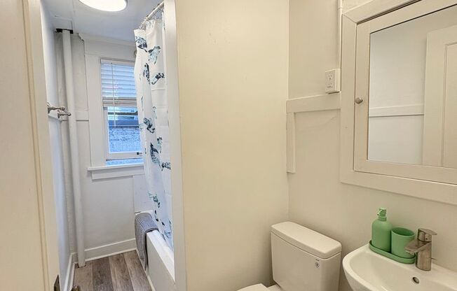 Studio, 1 bath, 335 sqft, $1,895, Unit Unit 206